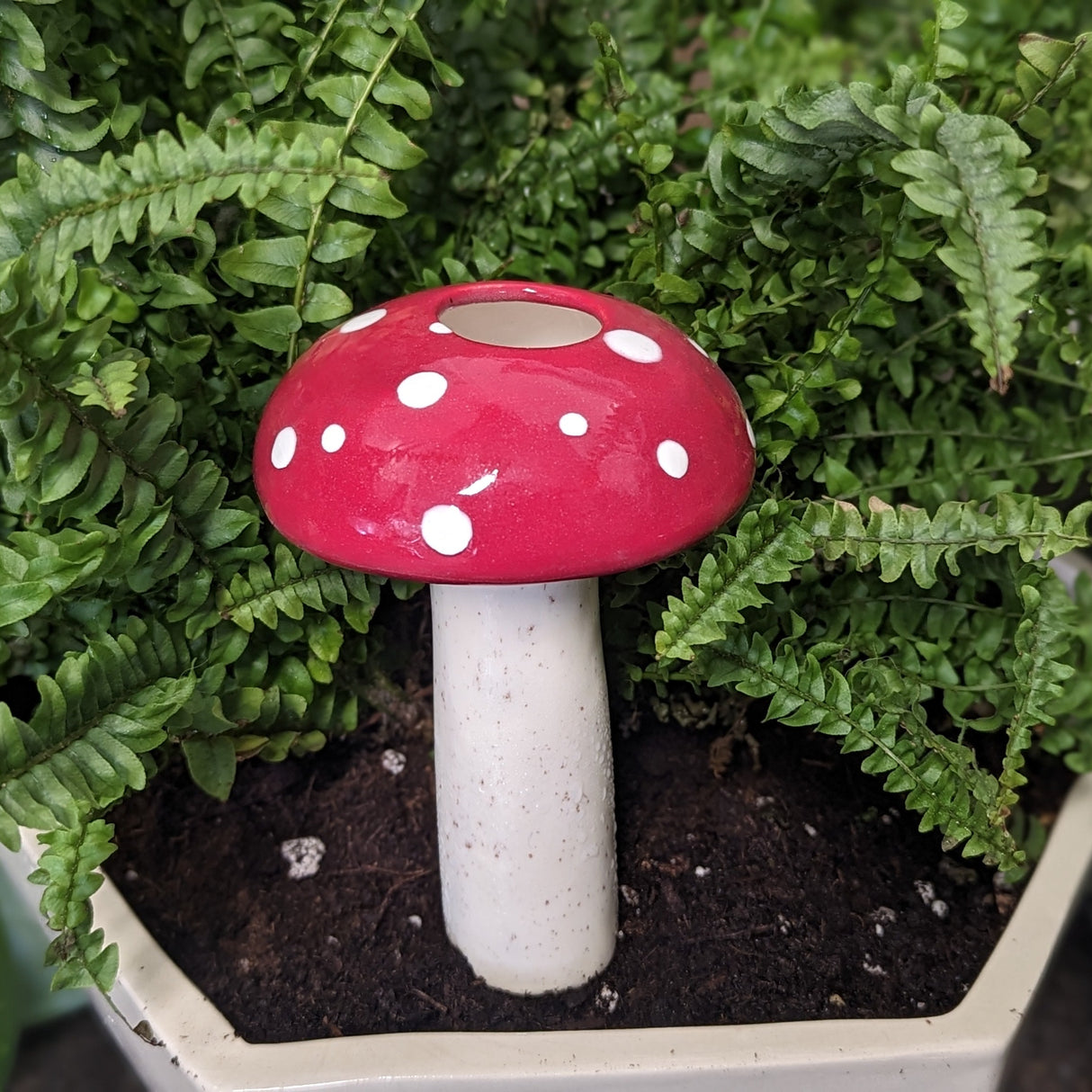 Large Mushroom Watering Spike