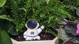 Ceramic Self-Watering Plant Spike - Astronaut Watering Spike