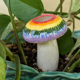 Medium Mushroom Watering Spike