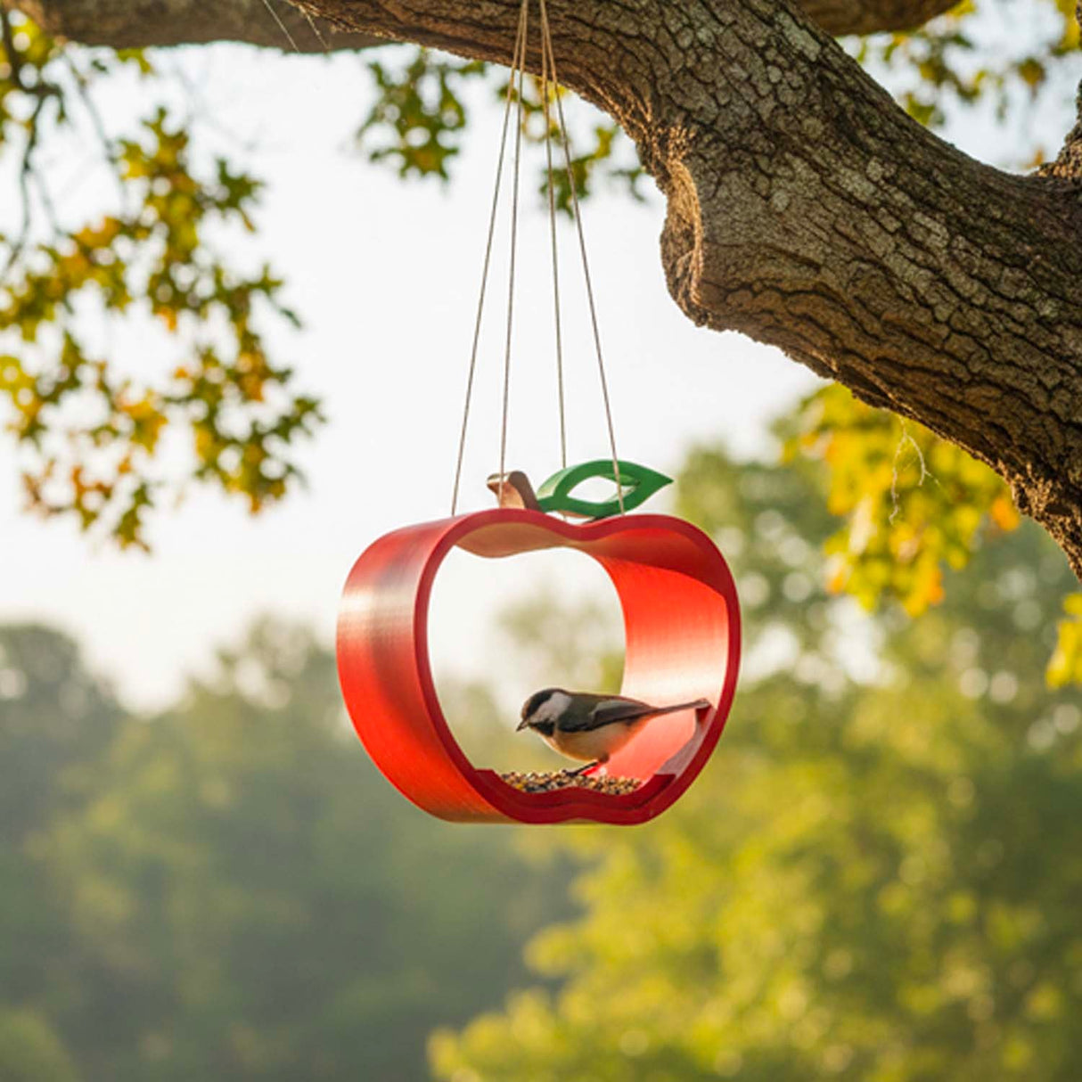 Fruit Collection Bird Feeders