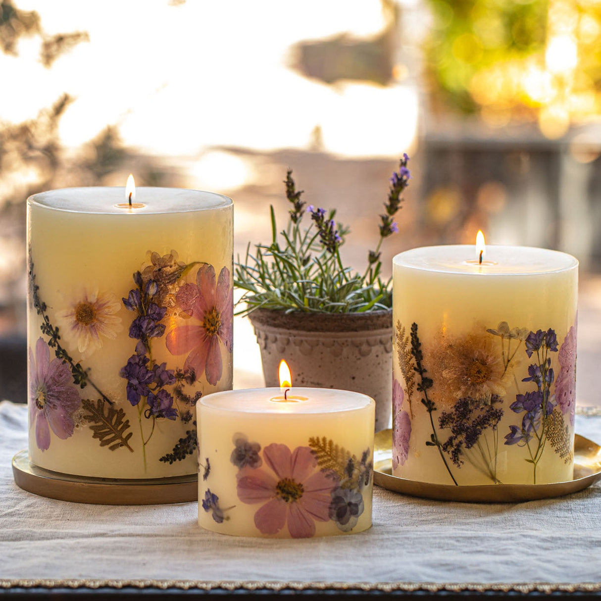 Roman Lavender Medium Round Botanical Candle