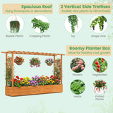 Raised Garden Bed Planter Box with Lattice Trellis