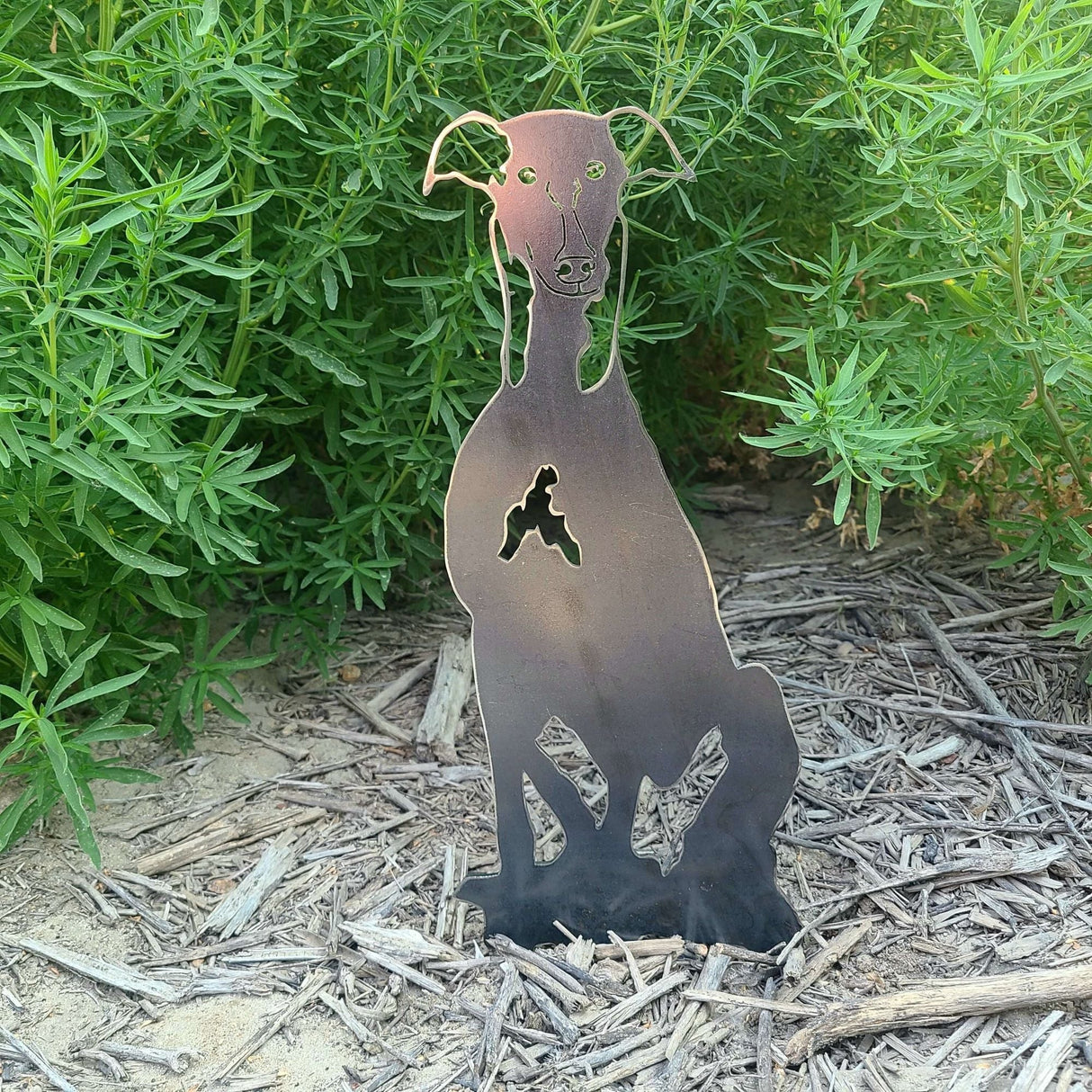 Greyhound Garden Stake