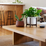 The Rancho Planter