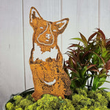 Australian Cattle Dog