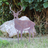 Deer - Buck Garden Stake