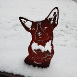 Australian Cattle Dog