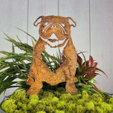 English Bulldog Garden Stake
