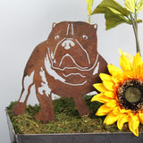 American Bully Garden Stake