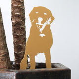 Special Edition *Gold* Labrador Retriever