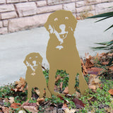 Special Edition *Gold* Labrador Retriever