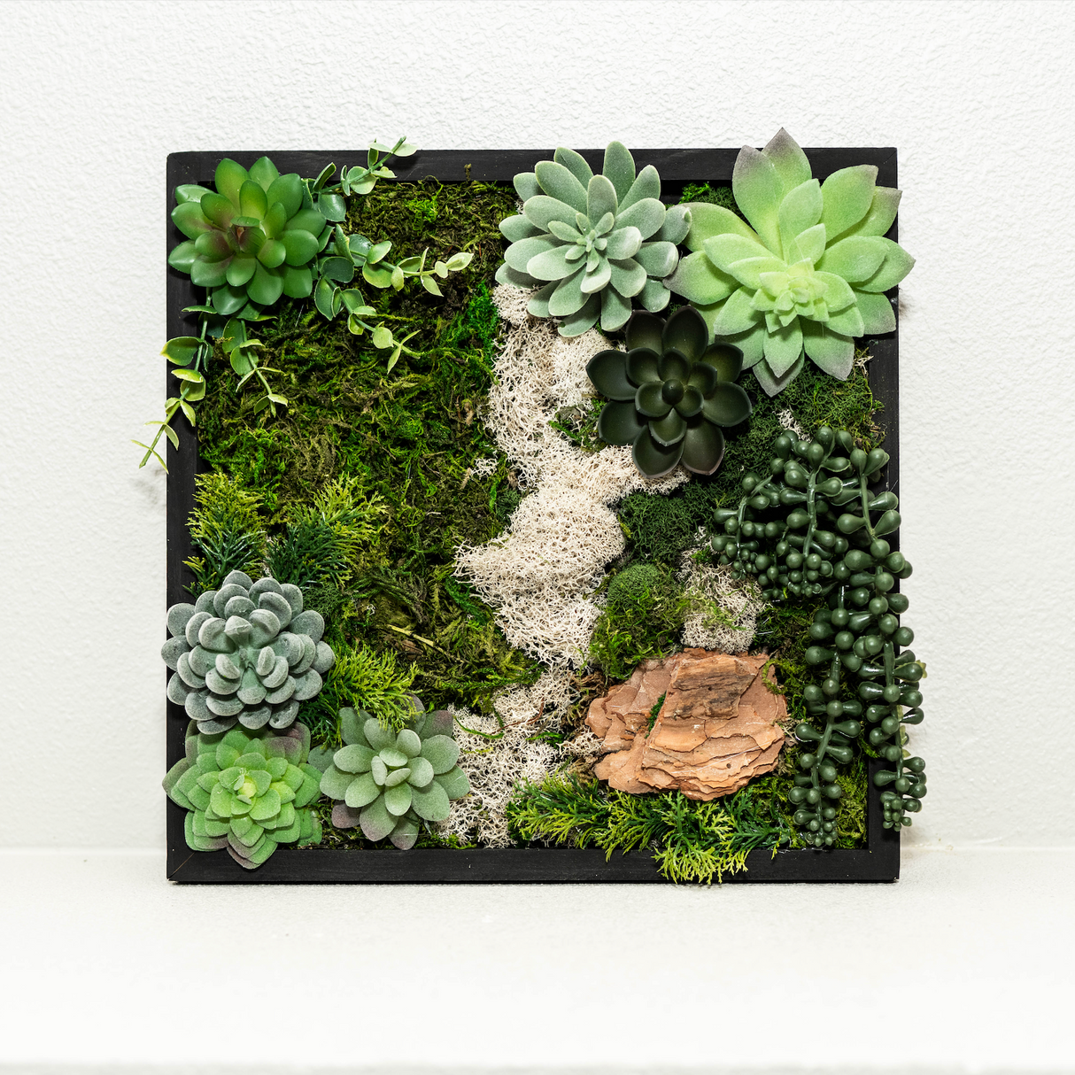 Moss Wall Kit
