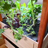 Home Farm Storage Unit