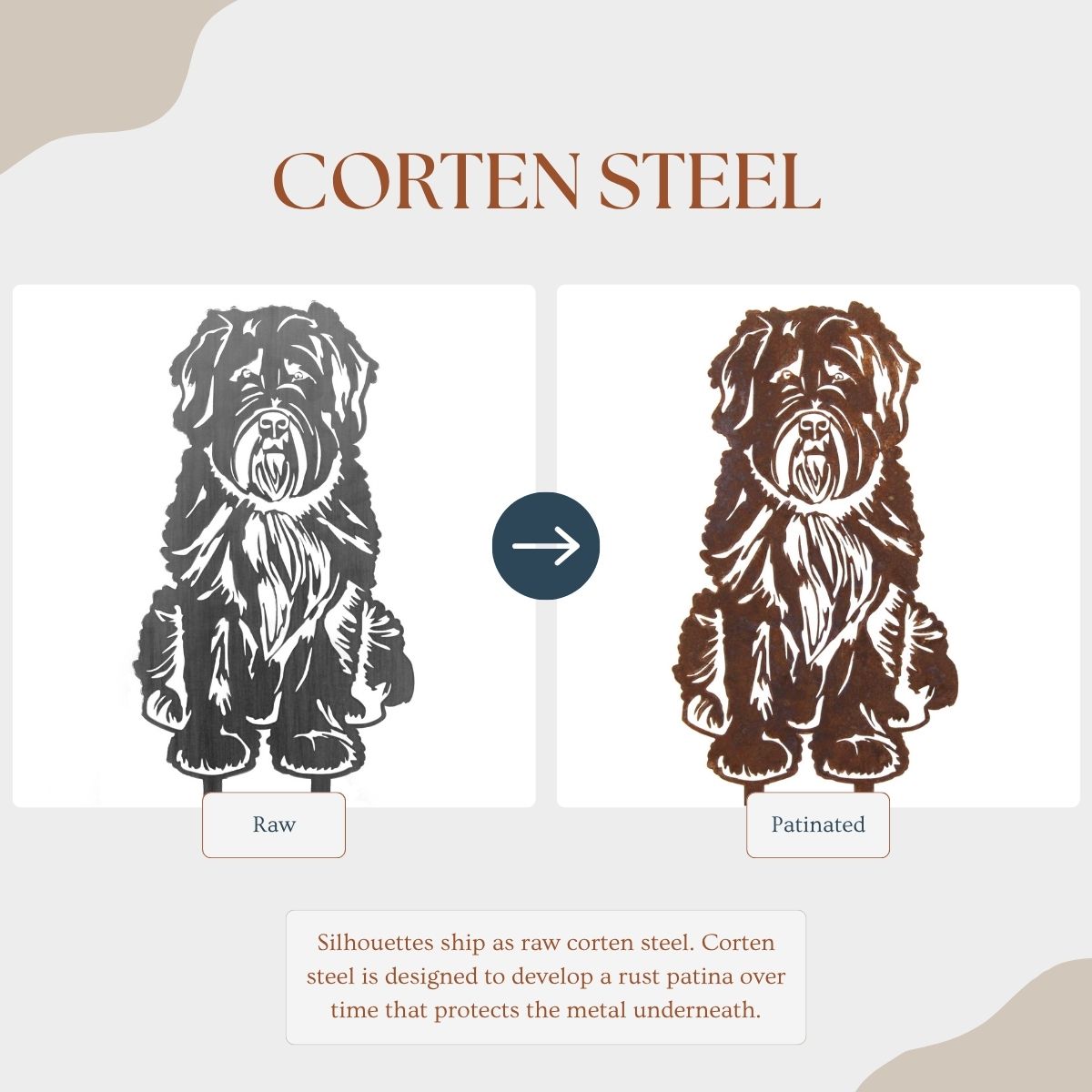 Soft Coated Wheaten Terrier