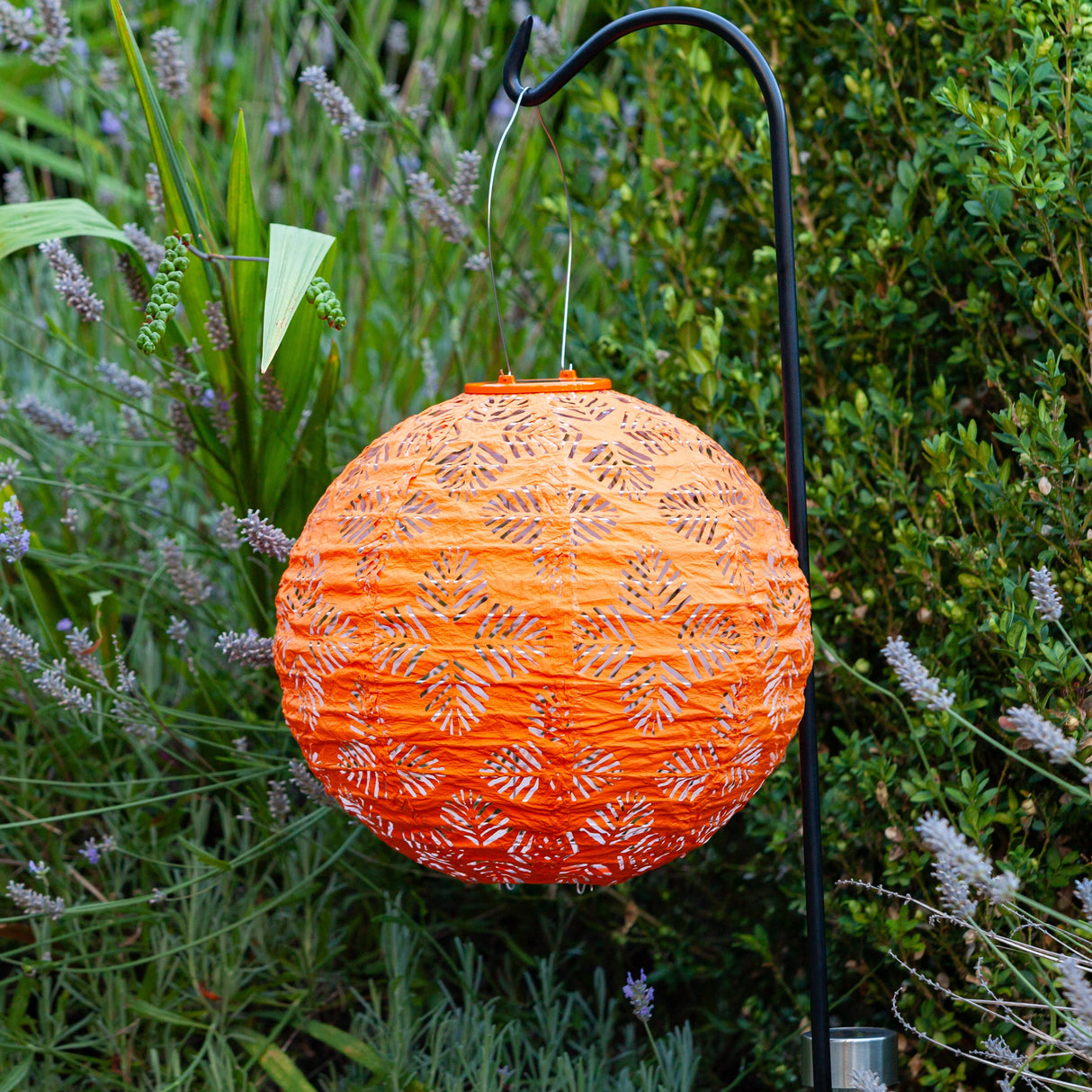 Soji Stella Brights Solar Lantern Set of 3