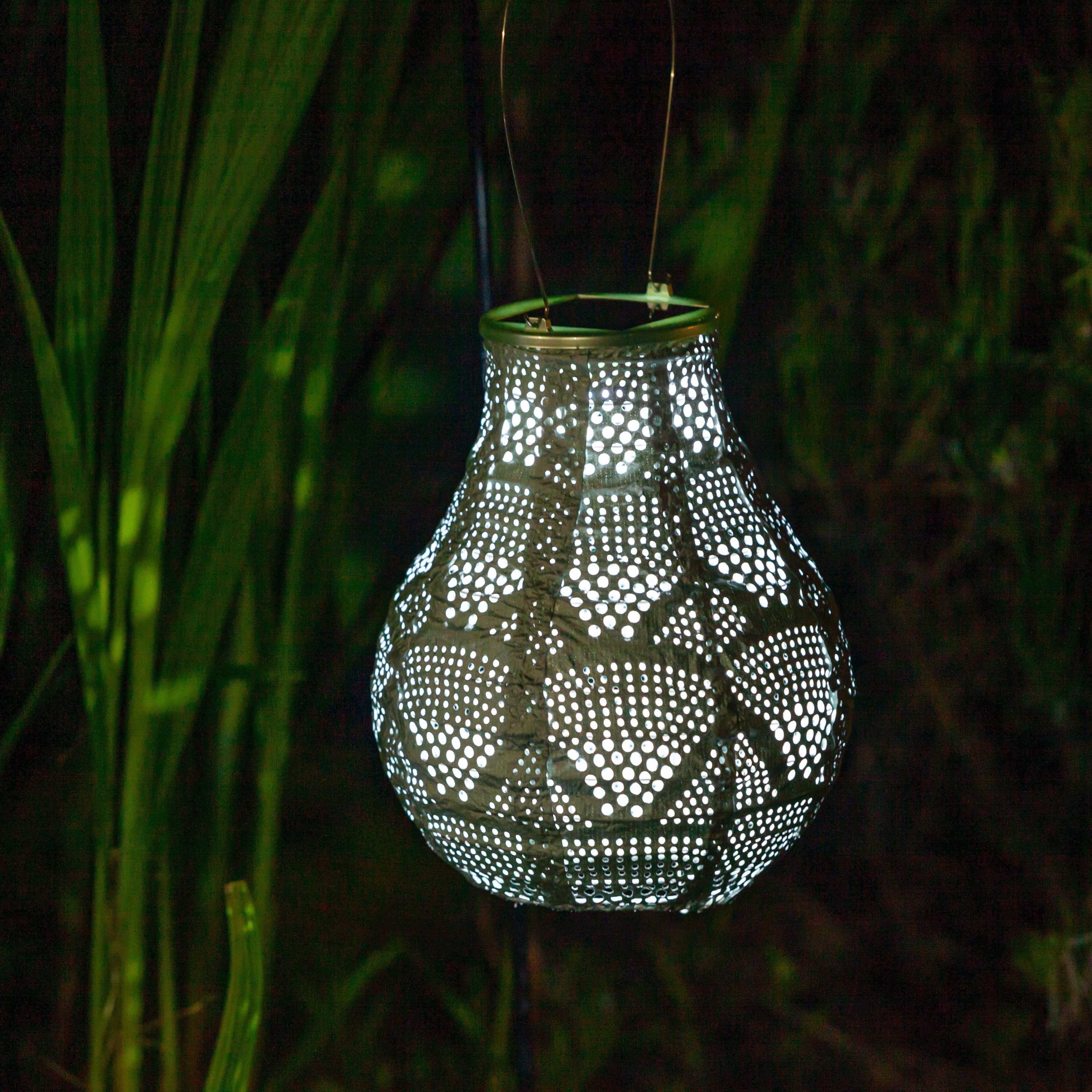 Soji Stella - Bulb - 8