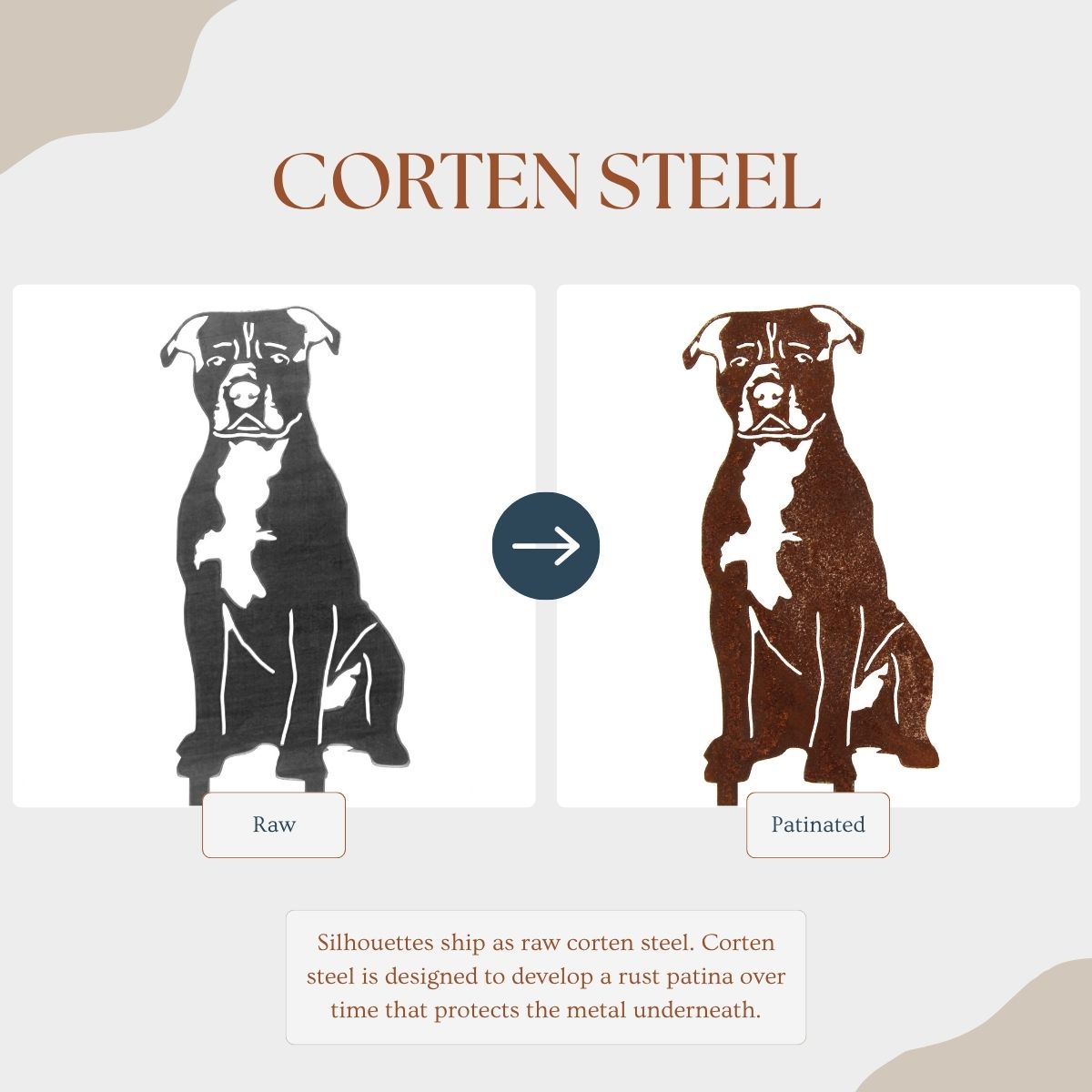 Staffordshire Bull Terrier