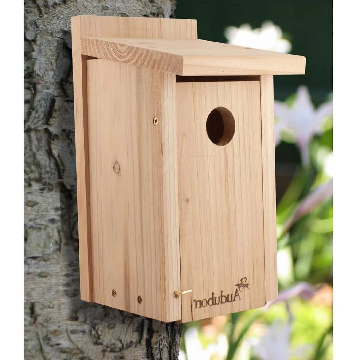 Classic Cedar Wood Bluebird Bird House