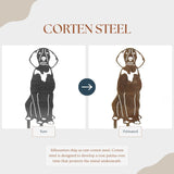 American English Coonhound