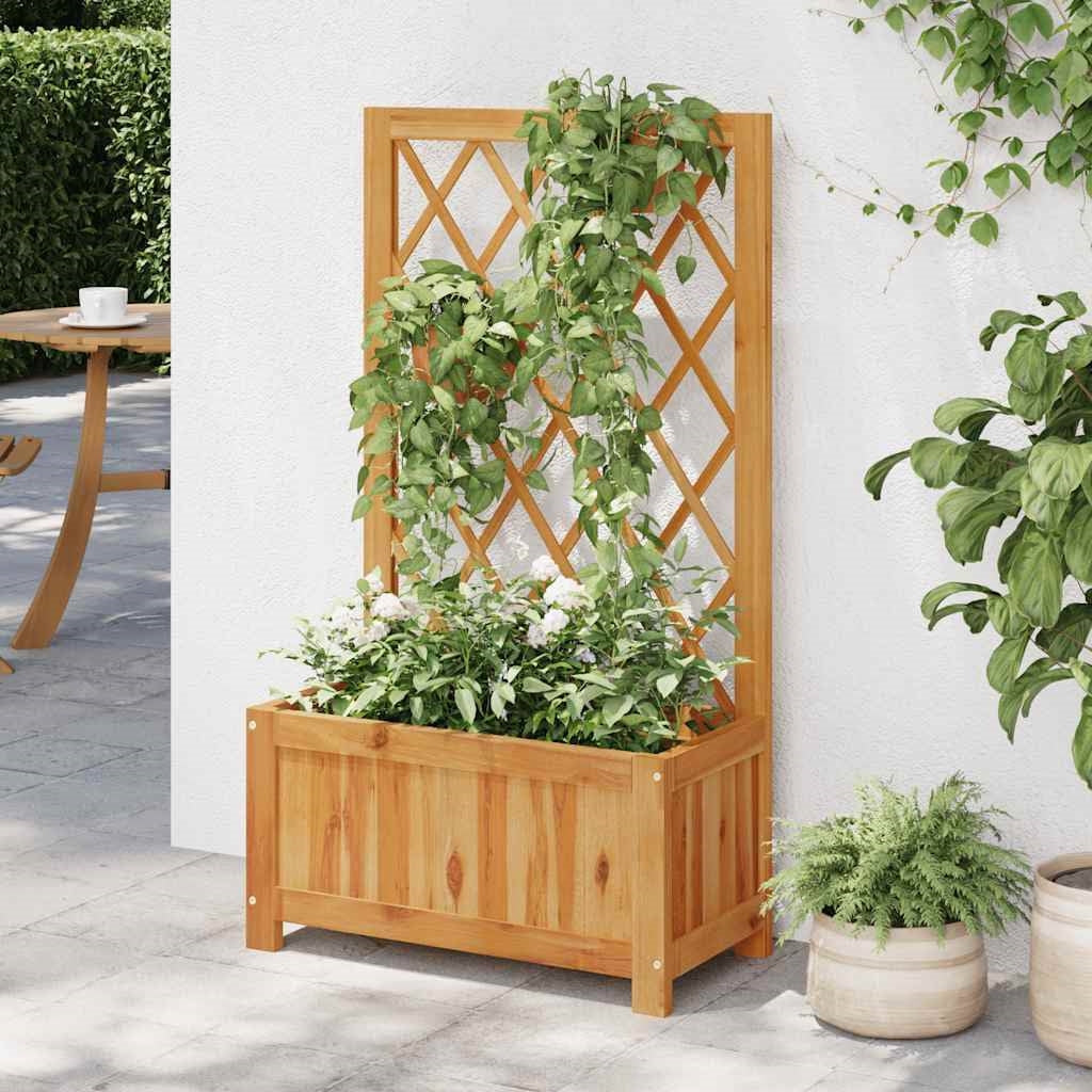 Wood Outdoor Raised Garden Bed with Lattice Trellis