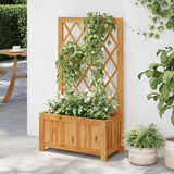 Wood Outdoor Raised Garden Bed with Lattice Trellis