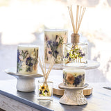 Accent Botanical Candle - Vanilla Rain