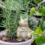 Chill Frog Watering Spike