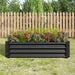 Rectangular Metal Raised Garden Bed