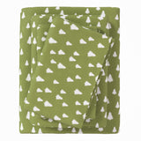 4-Piece Turkish Cotton Flannel Sheet - Lakeview Collection