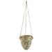 2’ Tuscan Hanging Ceramic Scroll Planter
