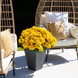 Artificial Geranium Plant in Slate Ceramic Planter