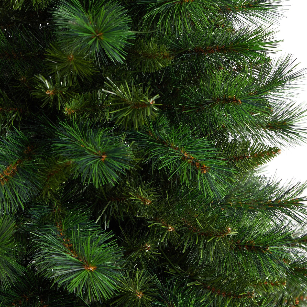 5’ Slim West Virginia Mountain Christmas Tree