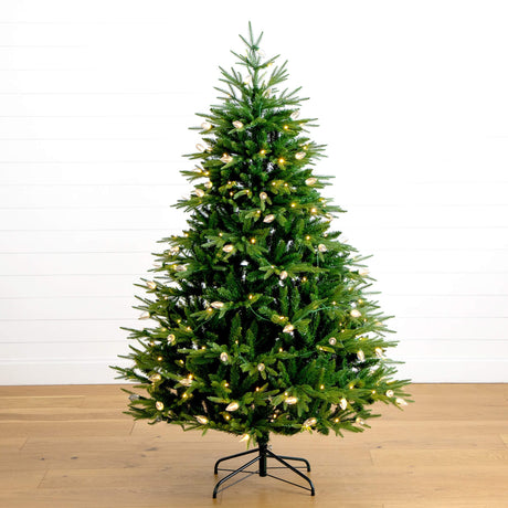 6' Pre-Lit Artificial Luxembourg Pine Christmas Tree with 250 Multicolored LED Lights