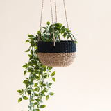 Natural + Black Colorblock Hanging Planter
