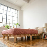 Dovid Birch Bed Frame