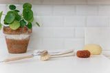 Andr Jardin Sustainable Dish Cleaning Kit in Wooden Box