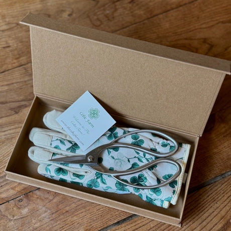 Garden Gift Box - Gloves and Snips