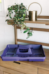 GreenStalk Garden Seed Starter Kit with Domes