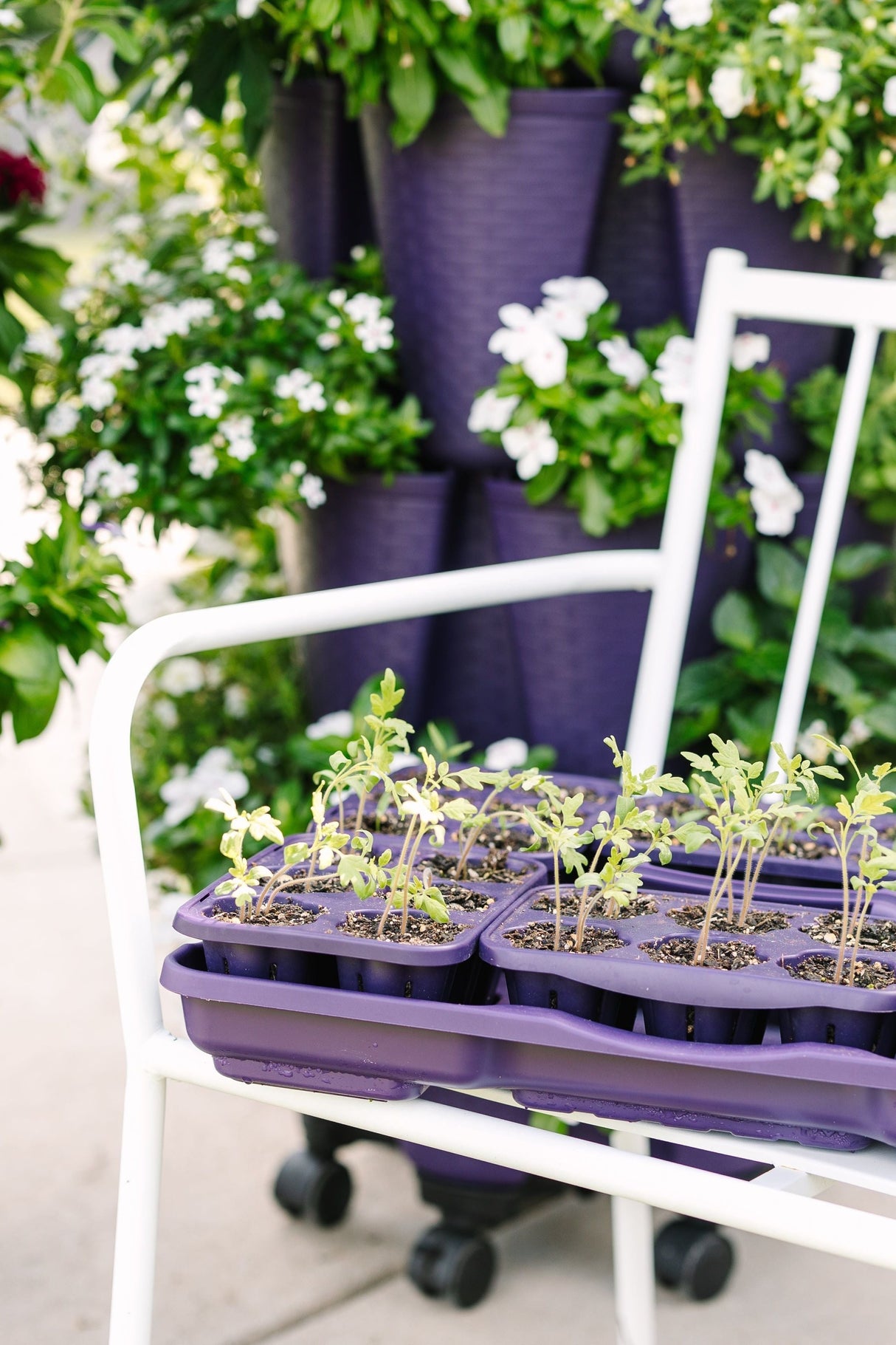 GreenStalk Garden Seed Starter Kit with Domes