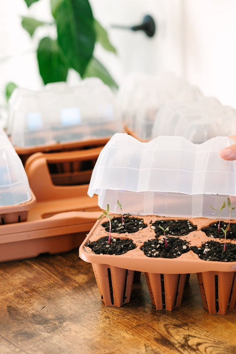 GreenStalk Garden Seed Starter Kit with Domes