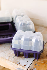 GreenStalk Garden Seed Starter Kit with Domes