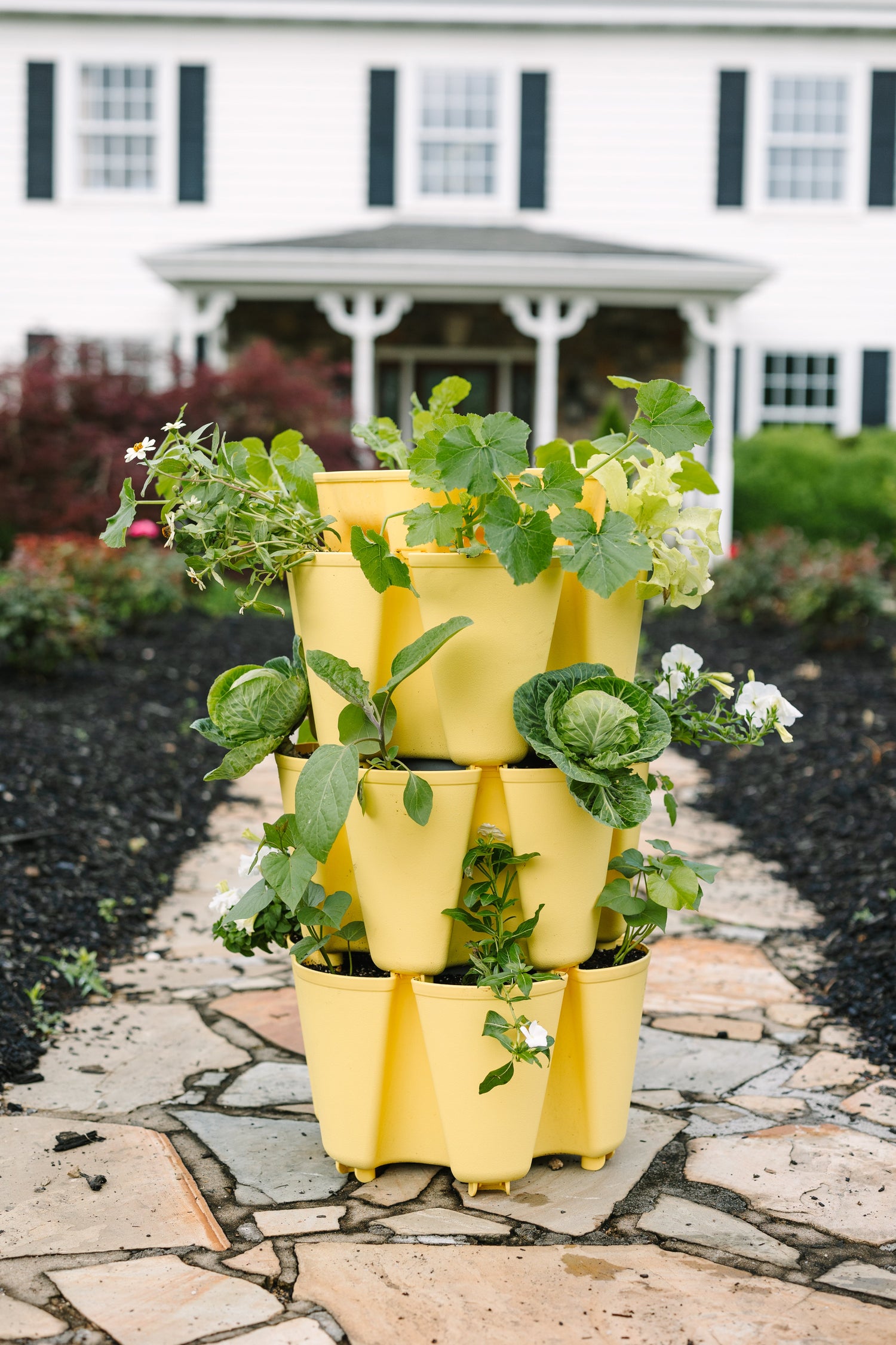 this old house vertical planter 3 Tier GreenStalk Garden Original Vertical Planter