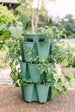3 Tier GreenStalk Garden Original Vertical Planter - Basic Texture