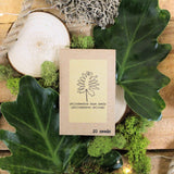 "Grow your own Jungle" Houseplant Seed Collection