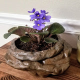 Large Natural Stone Self Watering / African Violet Pot