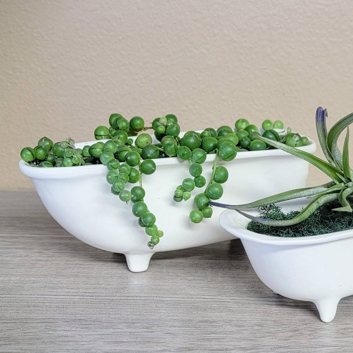 Medium Ceramic Bathtub Planter