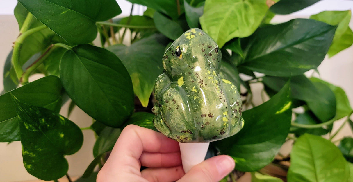 Open-Mouth Frog Plant Watering Spike