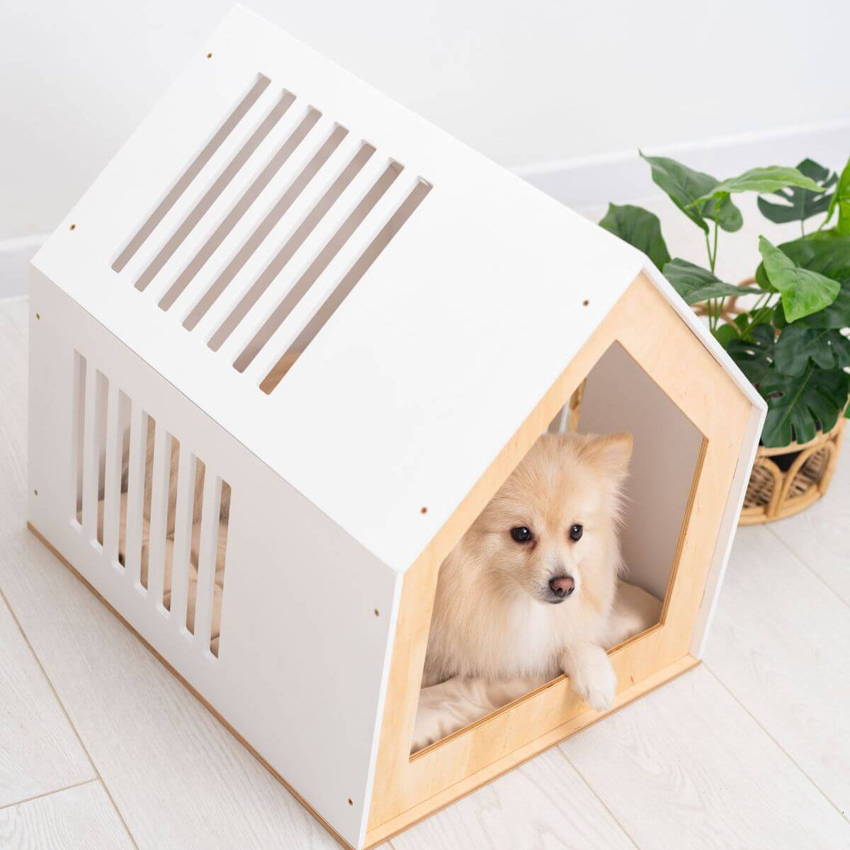 Modern Indoor Dog House