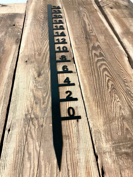 Simple Steel Snow Gauge