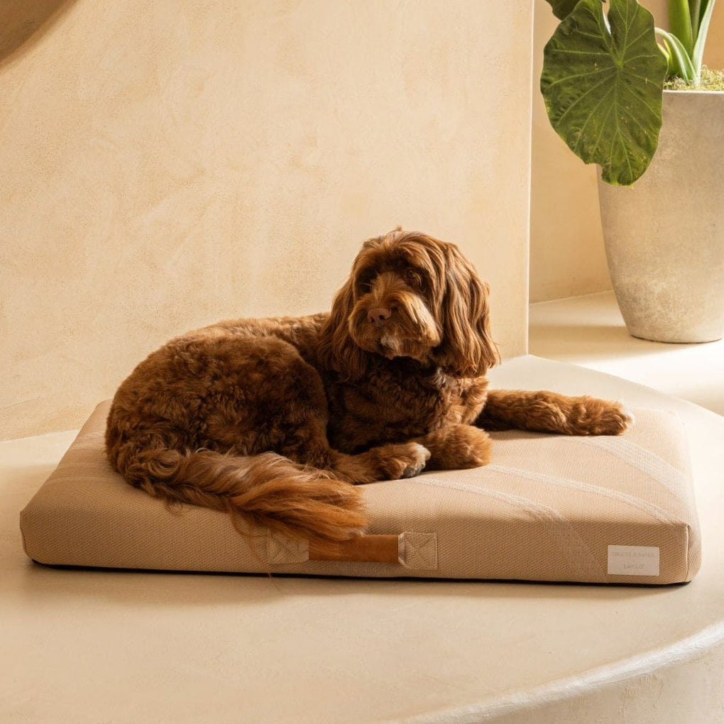 Brigette Romanek | Taupe Dog Bed or Bed Cover